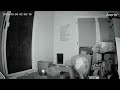 Arenti Captures: A Lovely Doggy in Arenti 2K Camera DOME1 Night Vision