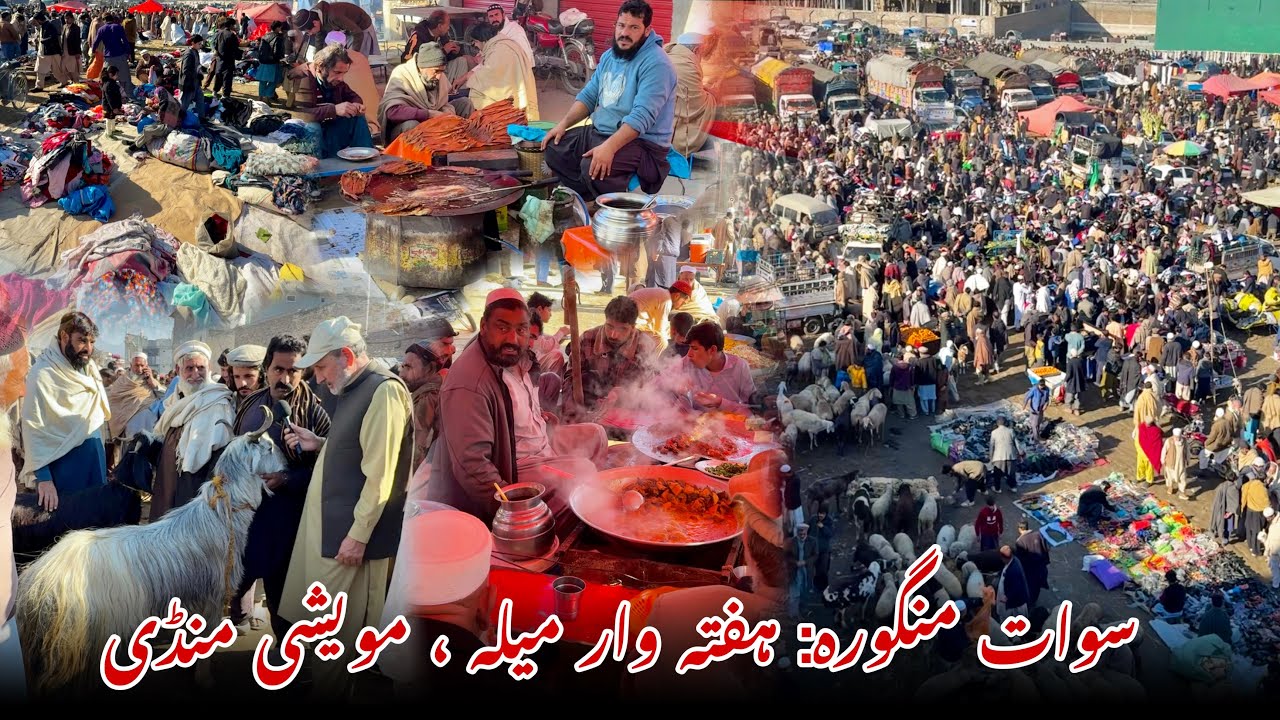 Swat Mingora: Weekly Fair, Livestock Market | Khyber Social Tv