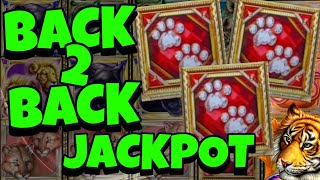 BACK 2 BACK RARE BONUSES! JACKPOT HAND PAY on CATS Slot Machine High Limit Live Play screenshot 4