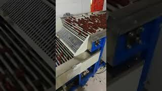 date sorting machine