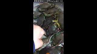 Khmer Food Bigo Live Yummy