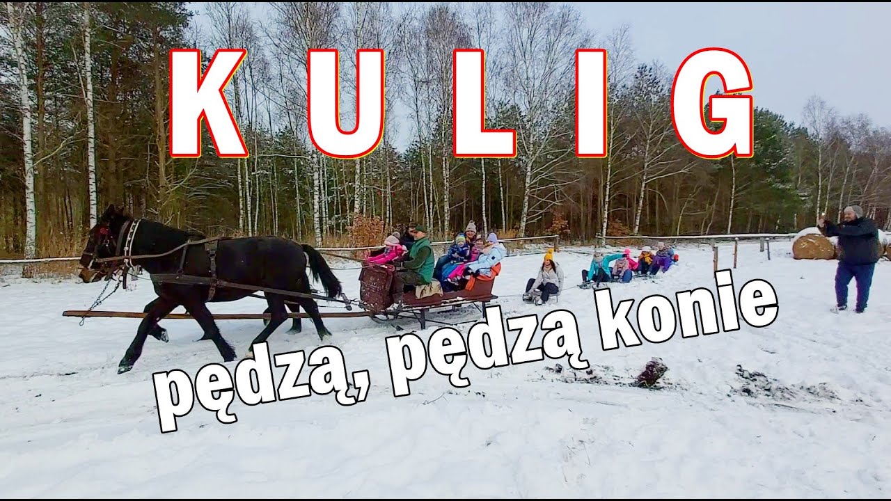 Kulig 2021- WYPADKI na sankach! Ciągną, ciągną sanie Liska koniki czyli zimowe szaleństwo pełną parą