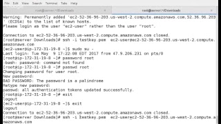 Enable SSH Password Authentication in AWS EC2 Linux Instance