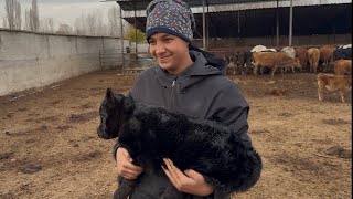 Vi̇deonun Sonu Telefonda Kalmiş