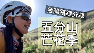 晨騎平溪／五分山！原來芒花紛飛的「雪」景如此動人｜台灣單車 ...