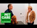 What To Know When Bringing A New Puppy Home. The Pet Care Show with Clare Balding | PETS AT HOME