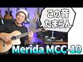【実戦向き】ロッド入りでメンテも安心！Merida MCC-10はアコギ弾きにも激推しできるエレガットでした