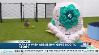 4-year-old Biloxi girl meets her new puppy courtesy of Make-A-Wish Mississippi