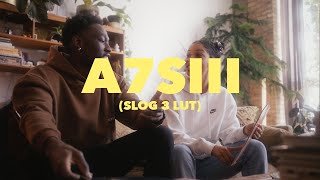 SONY A7SIII (SLOG3 LUT) FOOTAGE | A7Siii LUT |