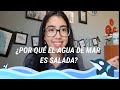 ¿POR QUÉ  EL AGUA DE MAR ES SALADA?