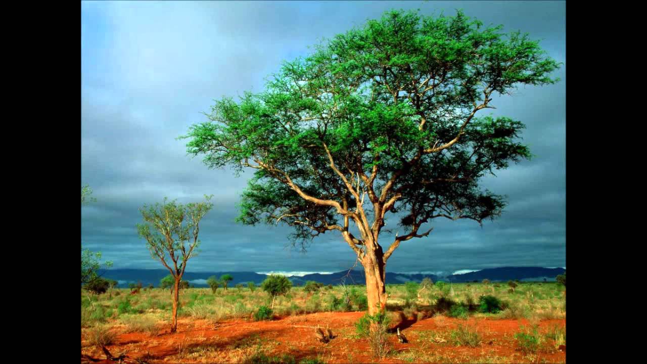 Existence & Margot Reisinger - Blessing Of Tara