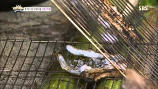 정글의법칙 130809 #30(9)