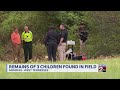Remains of 3 children found in Memphis field