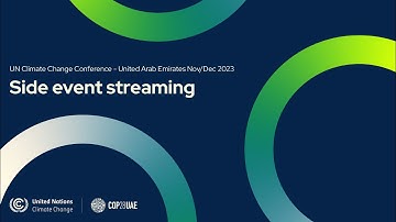 Is the looking glass half full or half empty? Transparency for climate discussions and reporting
