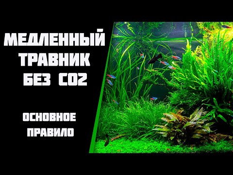 Создание медленного травника без CO2 и с минимумом удобрений.  Основное правило.