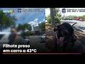 Mulher é presa por maus-tratos após deixar cachorro trancado em carro sob temperatura de 43°C