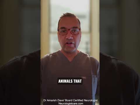 Video thumbnail for Why Do People With Dementia Have Hallucinations?