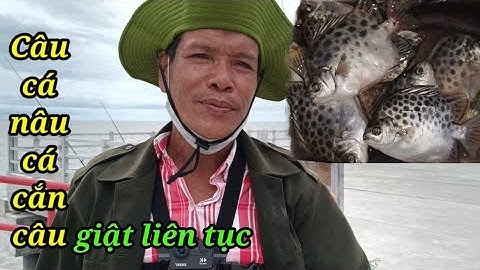 [Câu cá] Trúng bầy cá nâu cá ăn giật liên tục.