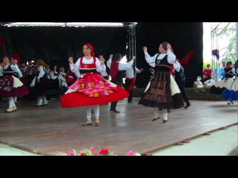 vira de Gondoriz festival st Flo 2016