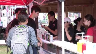 Students Gain Real World Experience at UH's Wolffest