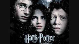 Video thumbnail of "john williams-Double Trouble (harry potter soundtrack)"