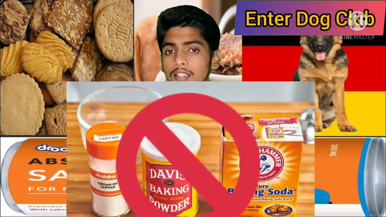 Hair fall problem of your Dogs Solution how to stop hair fall of