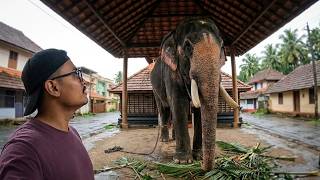 Inside the Brahmin Village of Kerala, Kalpathy 🇮🇳