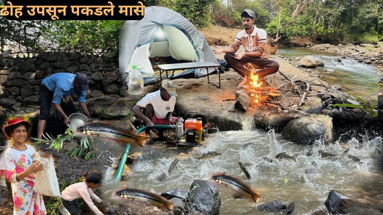मशीन लावून डोह उपसून पकडले मासे 🐟|फुल्ल नाईट कॅम्पिंग कुकिंग 🐟|Camping,cooking ⛺️