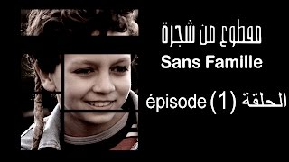 Subscribe Channel For More Ma9Tou3 Men Chajra Sans Famille Épisode -مقطوع من شجرة الحلقة -1