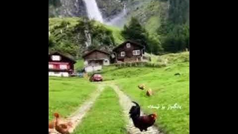 اجمل حالات واتس اب قران🍃 بصوت سعد الغامدي🍃 حالات واتس اب دينية 🍃 تلاوة خاشعة