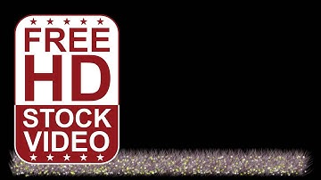 Free Stock Videos – abstract animated grey grass with colorful particles on black background 2D