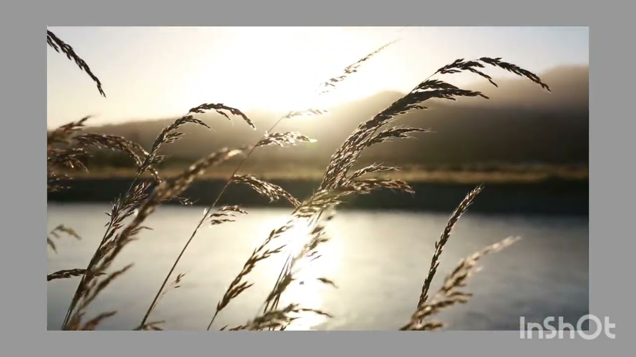 Nature Is The Reset Button We All Need