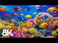 Dive Into the Mesmerizing Ocean World 8K ULTRA HD — Relaxing Aquarium for Deep Sleep