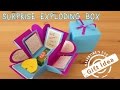 $2 Gift Idea | Surprise Exploding Box | Sunny DIY