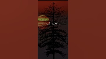 إن الأبرار يشربون من كأس كان مزاجها كافورا/#القارئ احمد النفيس# سورة الإنسان #