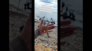 сутки были на воде, в Камском Устье. Сюкеево.  #рыбалка#fishing#fish