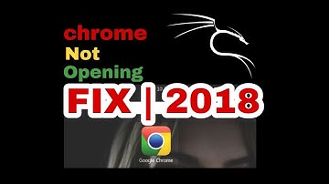 How to fix Google chrome in kali linux | 2018 | NOT OPENING