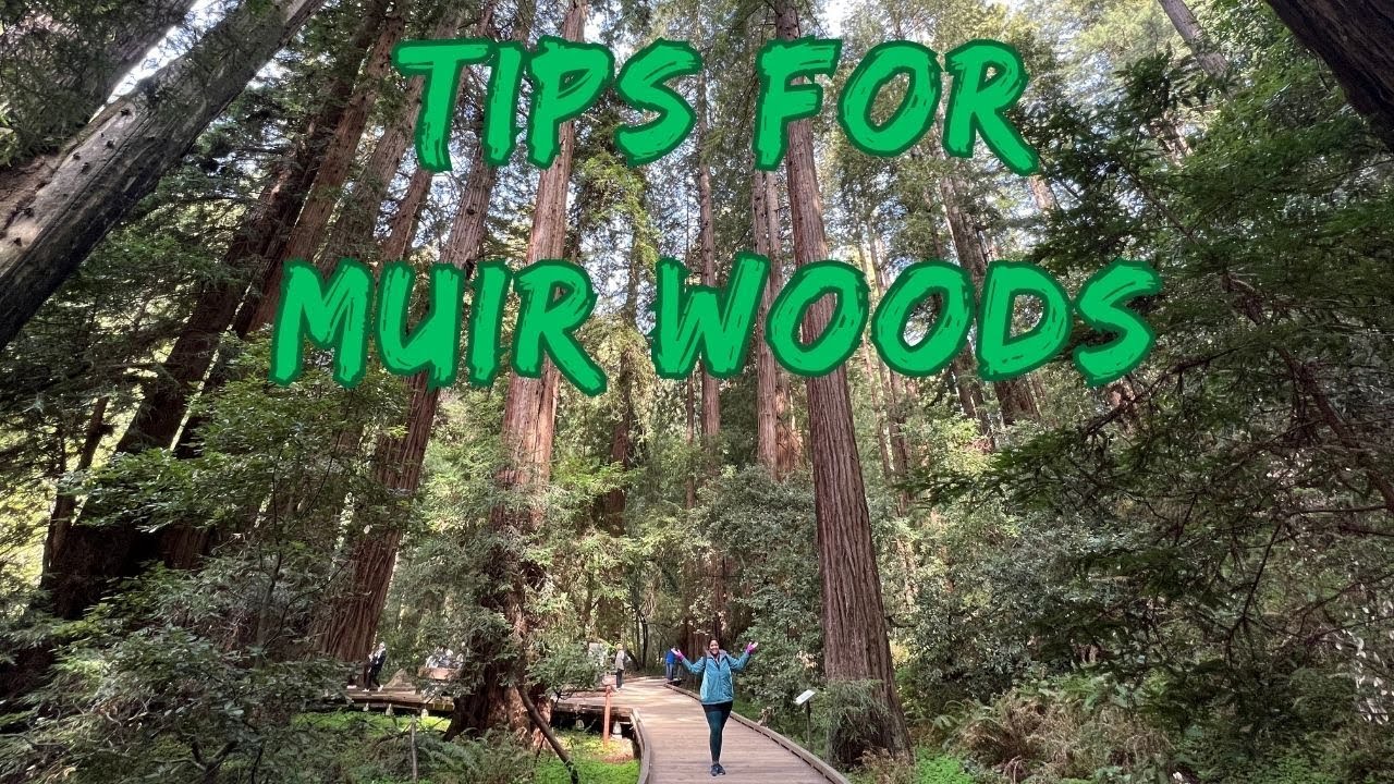 MUIR WOODS AND STINSON BEACH TIPS YouTube