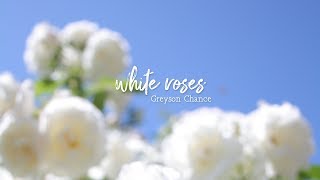 [Vietsub] Greyson Chance | White Roses