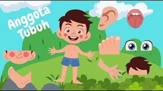 BELAJAR MENGENAL ANGGOTA TUBUH | BAGIAN TUBUH | NAMA NAMA ANGGOTA TUBUH | EDUKASI ANAK ANAK