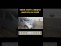 🚀🚀🚀 NISSAN MICRA 12 BENZINA ANNO 2014 KM 98.000⭐️⭐️⭐️ PER INFO E CONTATTI 351 5222587