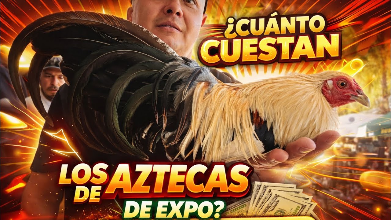 CUÁNTO CUESTAN estas AVES en la EXPO de BELLEZA en San Juan de los Lagos? 🐦💰