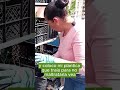 #shorts 🧅 Trasplante de Cebolla Cabezona