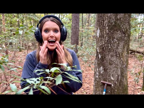 Uploads from Discovery Daisy