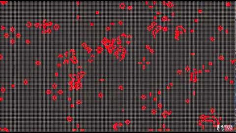 Stochastic Game Of Life