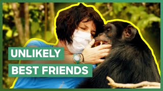 'World's Loneliest Chimp' Finds A Best Friend | Dodo Heroes