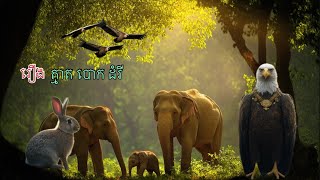 រឿង ស្ដេចត្មាត បោកដំរី #សម្រាយរឿងខ្លី #និទានរឿង #ស្ដាប់មុនចូលកេង