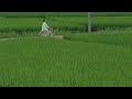 ☁️ 따뜻한 감성 노래 — 말로 하지 못한 마음을 대신해줘