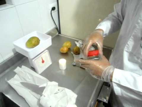 Laboratorio microbiologia