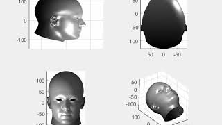Celebrity A symmetric 3D morphable model of the human head Wealth